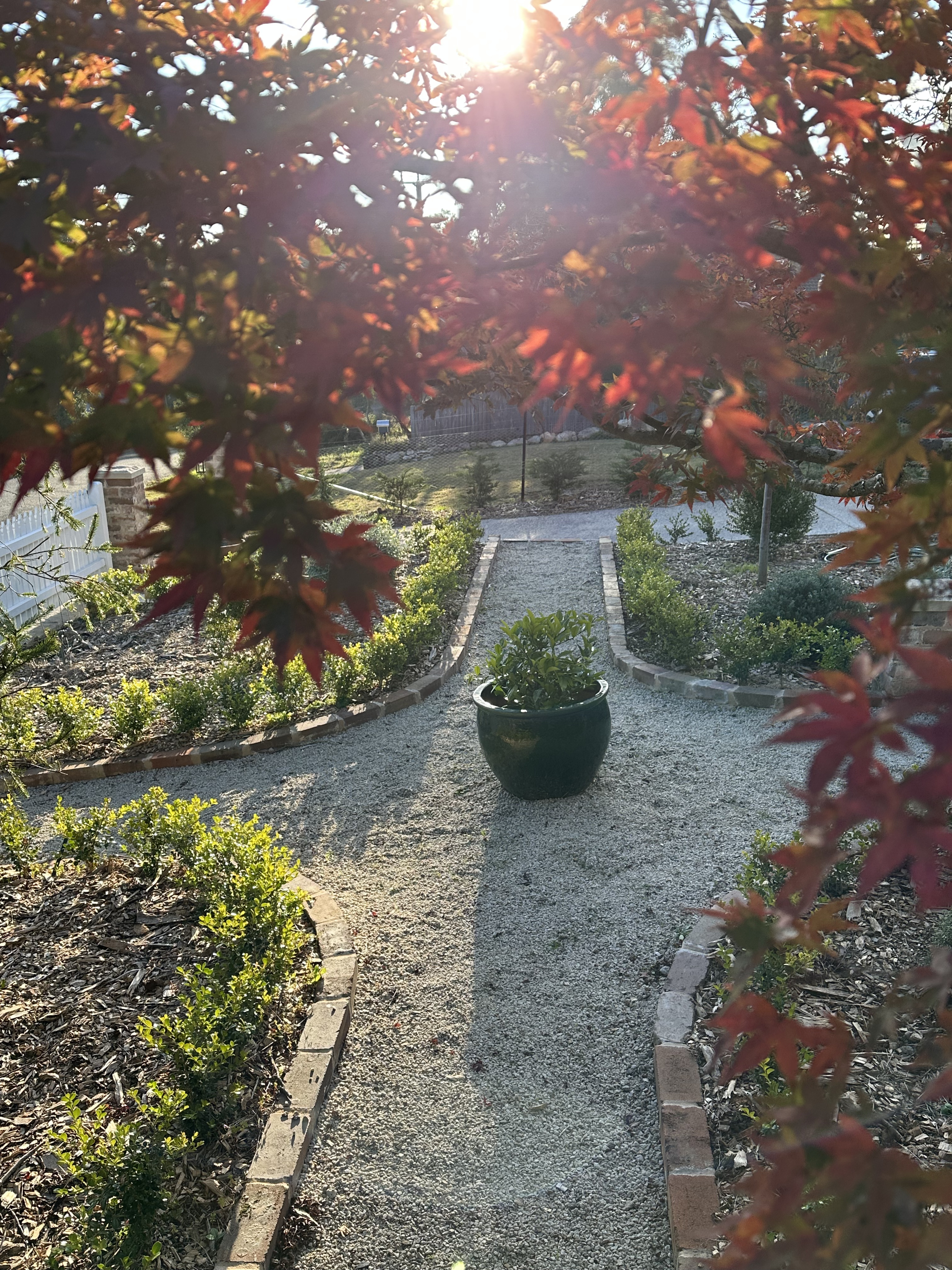 The Garden